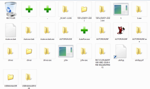 removablew7